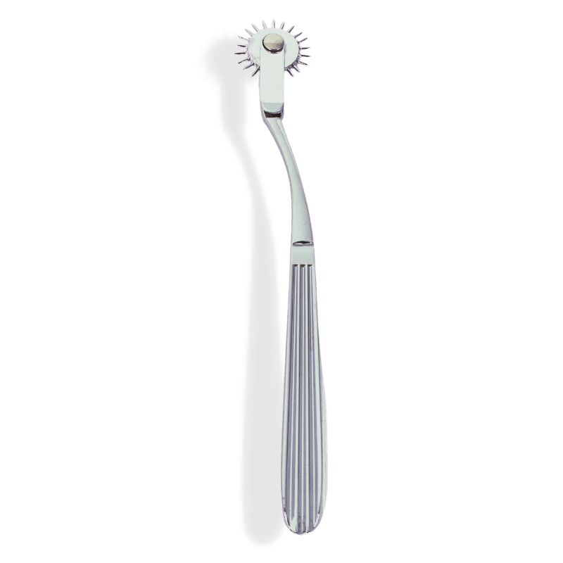 Terra- The Ultimate BDSM Pinwheel and Wartenberg Wheel - Silver Terra- The Ultimate BDSM Pinwheel and Wartenberg Wheel - Silver